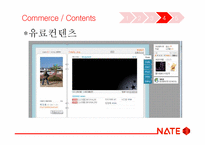 온라인 비즈니스 모델의 진화 -네이트 Nate.com 사례를 중심으로-17