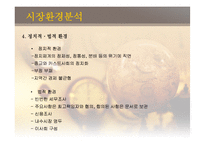 [국제경영] 글로벌기업의 해외투자전략(인도시장)-8