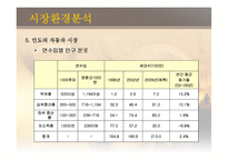 [국제경영] 글로벌기업의 해외투자전략(인도시장)-9