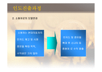 [국제경영] 글로벌기업의 해외투자전략(인도시장)-15