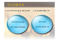 [국제경영] 글로벌기업의 해외투자전략(인도시장)-16