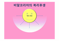 비알코리아 인사관리-17