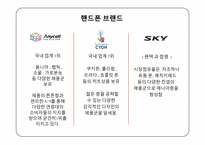[소비자정보] 브랜드 충성도에 대하여-17
