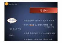 [광고전략] 하겐다즈 광고 캠페인 기획안-13
