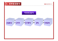 [국제경영] 성주그룹 MCM 전략경영-13