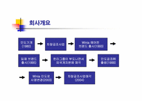 위니아만도의 다각화전략-3