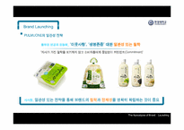 [브랜드마케팅] 브랜드 런칭-13