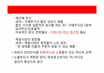 [광고매체론] 미스터피자 미디어믹스 전략-6
