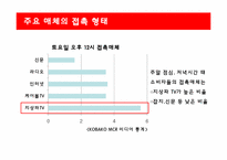 [광고매체론] 미스터피자 미디어믹스 전략-11