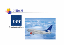 [경영전략] 미샤 원가우위, SAS 집중차별화-6