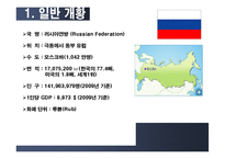 [해외투자론] 러시아 FDI-4