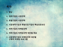 새로운 제품시장에서의 마케팅전략-2