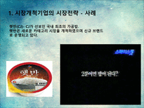 새로운 제품시장에서의 마케팅전략-5