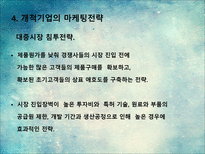 새로운 제품시장에서의 마케팅전략-17