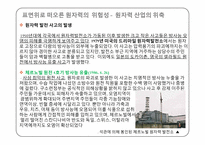 [과학사] 한국 원자력 발전의 역사-5