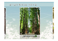 [조경관계법규] 가로수-11