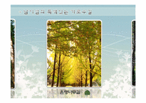 [조경관계법규] 가로수-12