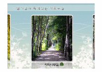 [조경관계법규] 가로수-13