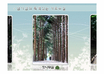[조경관계법규] 가로수-14