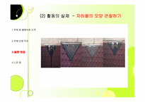 [영유아 수학,과학교육] 수 세기(수와 연산)-11