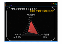 [교육학] 영재교육-17