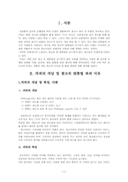 [광고와 언어] 카피와 맞춤법-3