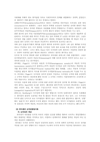 [발달심리] 연령별 아동의 도덕성 판단 비교-5