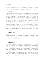[종교윤리학] 안락사에 대한 불교생명윤리 관점에서의 논의-5