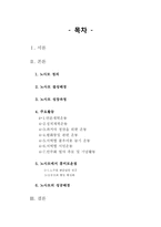 [사이버공동체] 정치인 팬클럽의 사례 -노사모를 중심으로-2