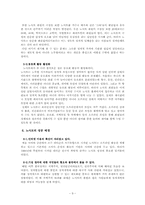 [사이버공동체] 정치인 팬클럽의 사례 -노사모를 중심으로-9
