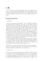 [광고론] PPL광고의 개념 및 정의, 특징-3