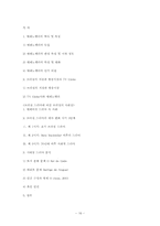 드라마를 통해 본 브라질 사회와 문화-17