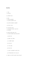 인터넷실명제 레포트-15