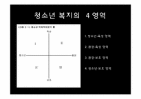 청소년복지의 개념과 실천방법-10