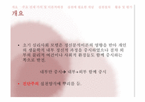 [사회복지실천론] 심리사회모델-4