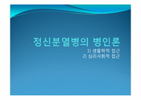 정신분열병 -하위유형, 병인론과 치료-16