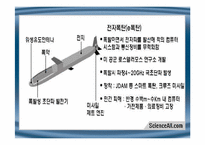 국가안보와 군사혁신-10