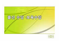 [육아정책] 출산 수당, 보육수당-1