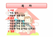 [가족복지] 다문화가족 유형 현황 문제점 및 개선방안-2