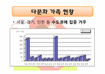 [가족복지] 다문화가족 유형 현황 문제점 및 개선방안-11