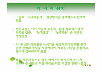 [환경사회학] 녹색성장-12