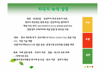 [환경사회학] 녹색성장-19