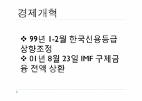 김대중 정부의 평가-15