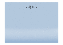 지방선거보도의 문제점-2
