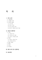 인도 전통의상 레포트-2