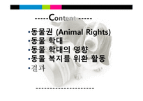 동물의 권리 레포트-2