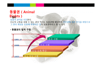 동물의 권리 레포트-3