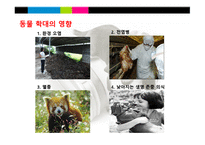 동물의 권리 레포트-5