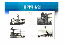 형태주의 상담 레포트-19