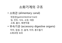 소화기계 레포트-3